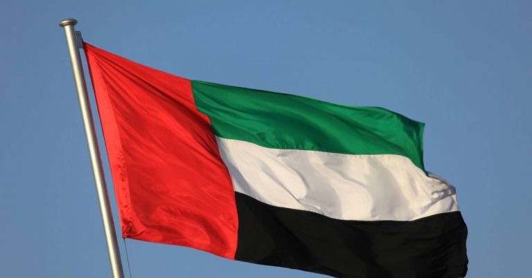 Mavi gökyüzü önünde dalgalanan resmi Birleşik Arap Emirlikleri (BAE) bayrağı; Dubai vize ve seyahat işlemleri temalı görsel